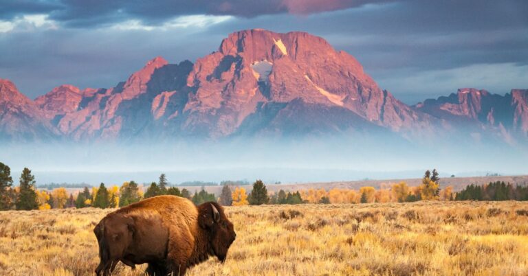 Wyoming